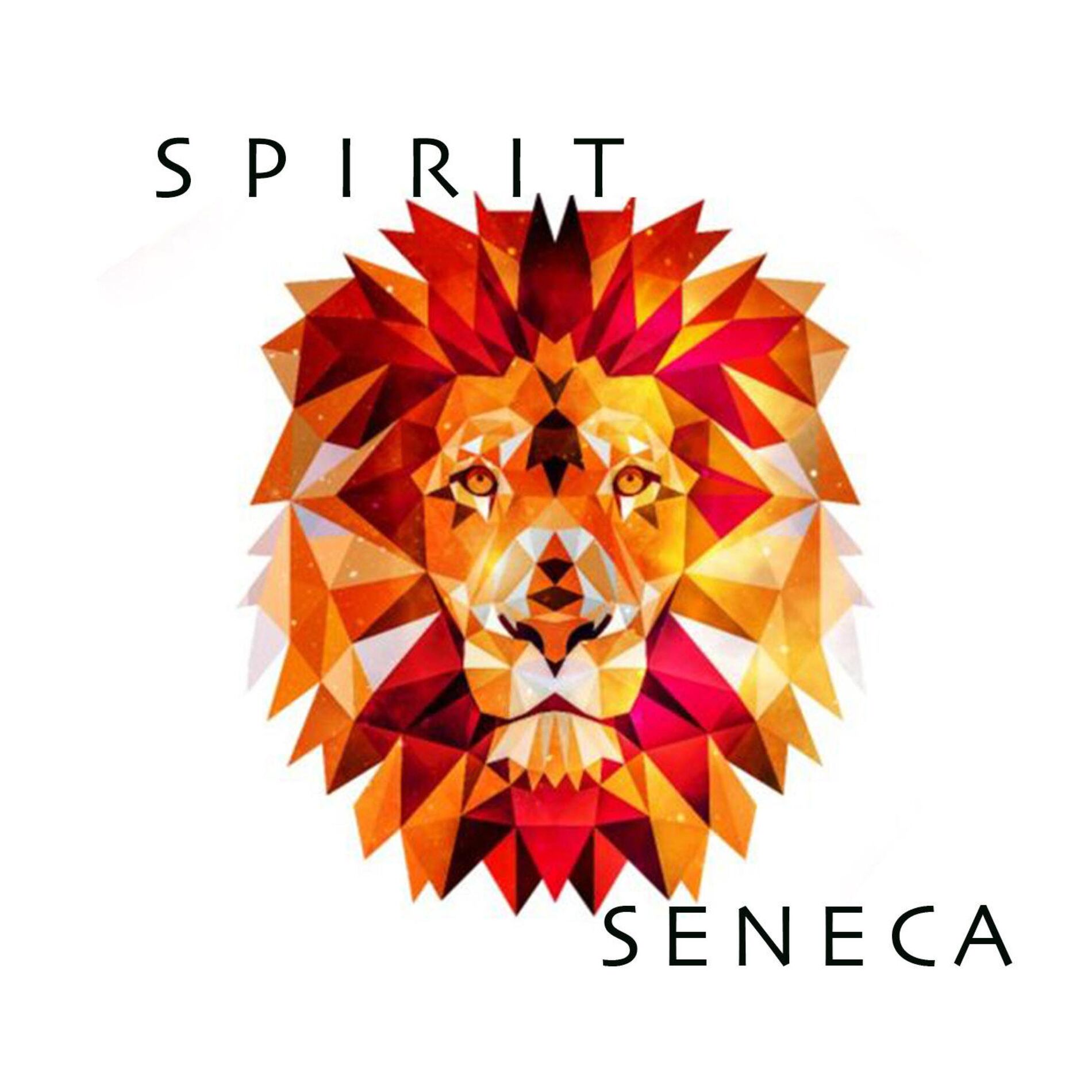 Album cover of SPIRIT