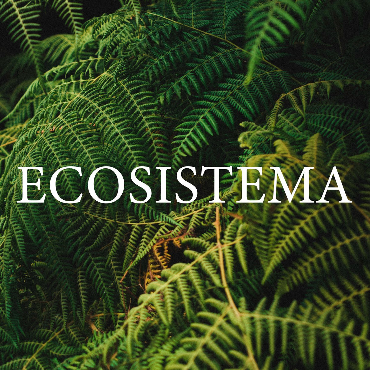 Album cover of Ecosistema