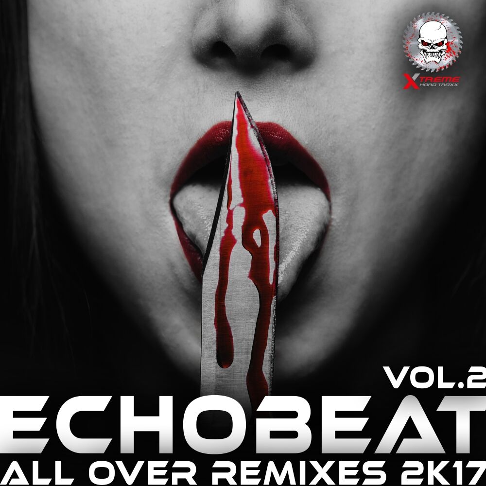 Picture of All Over Remixes 2k17, Vol. 2