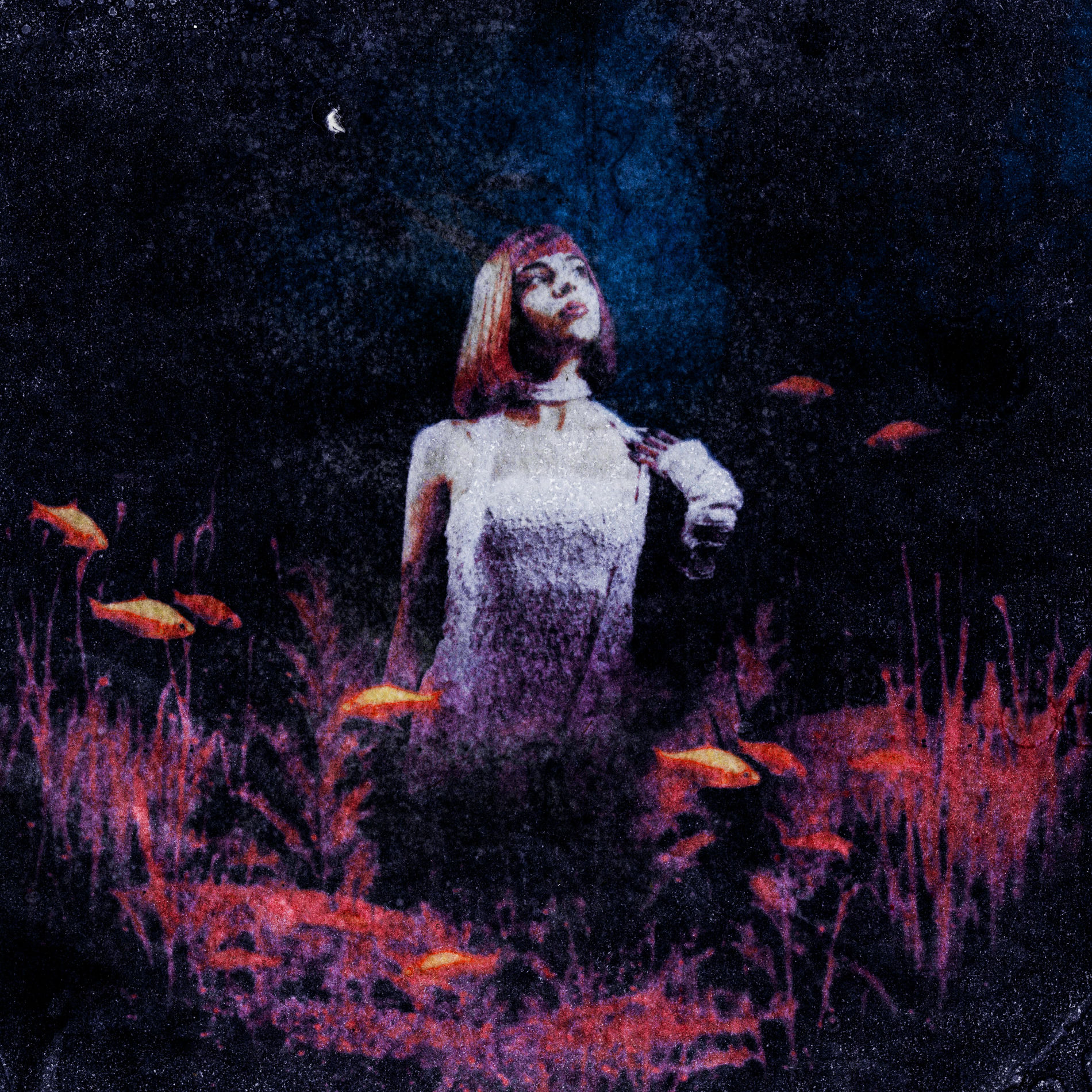 Album cover of SI Y'A UN MONDE