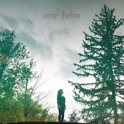Cover of This Too Shall Light