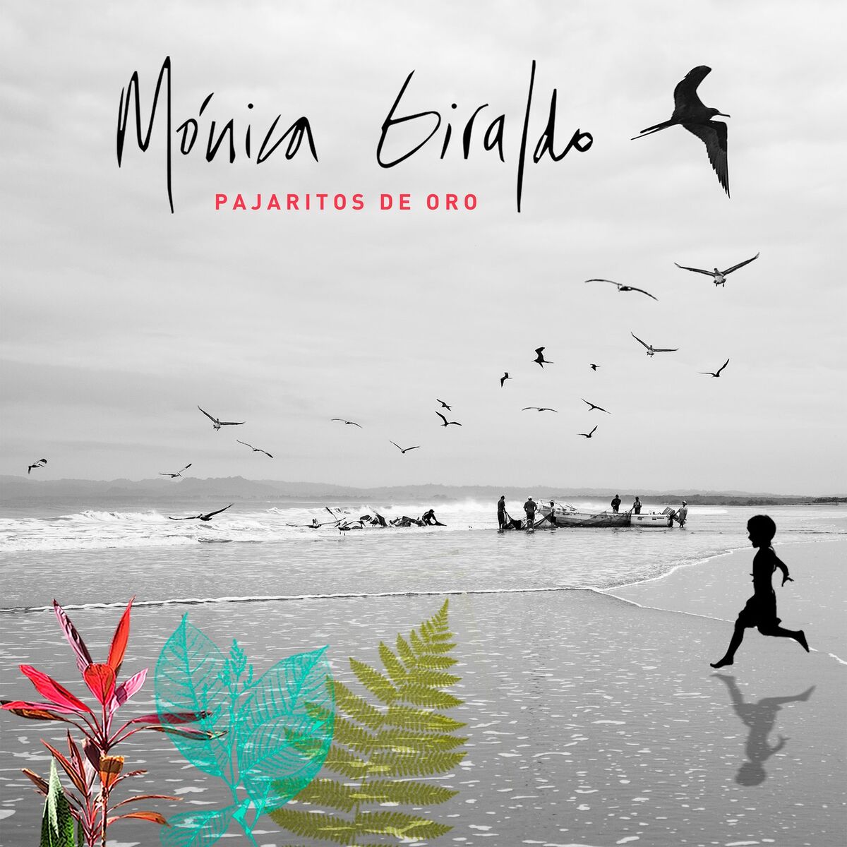 Album cover of Pajaritos de Oro