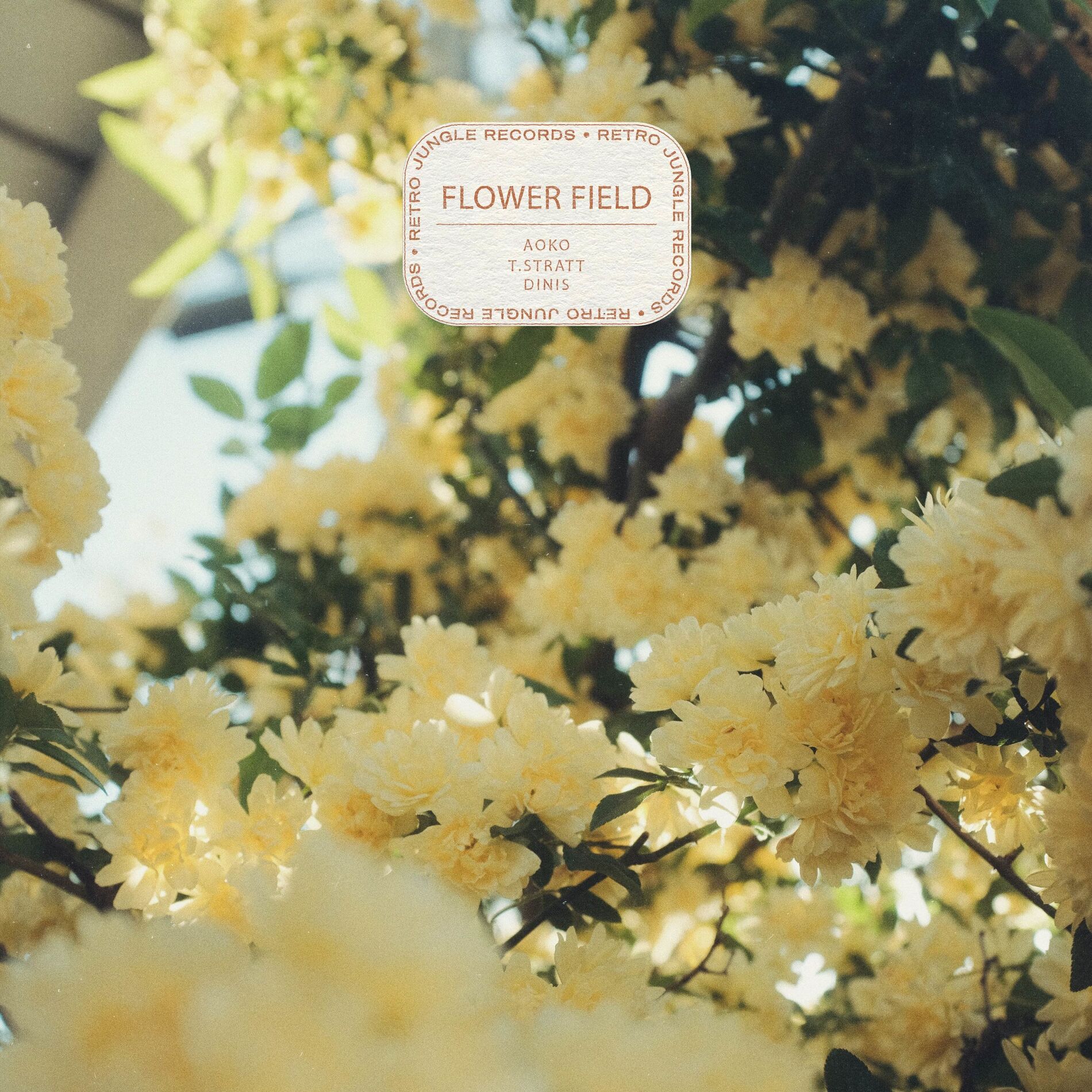 Album cover of Flower Field