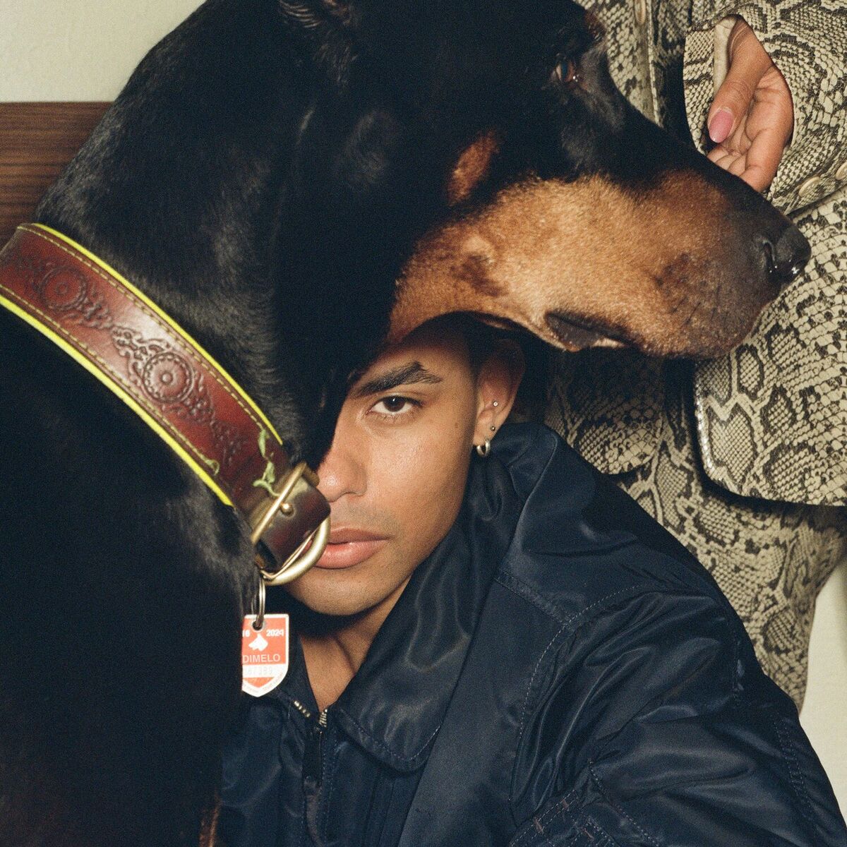 Album cover of Dimelo