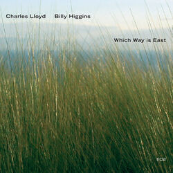 Cover of Which Way Is East
