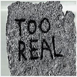 Cover of Too Real