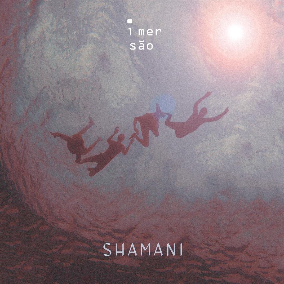 Album cover of O Vento Leva