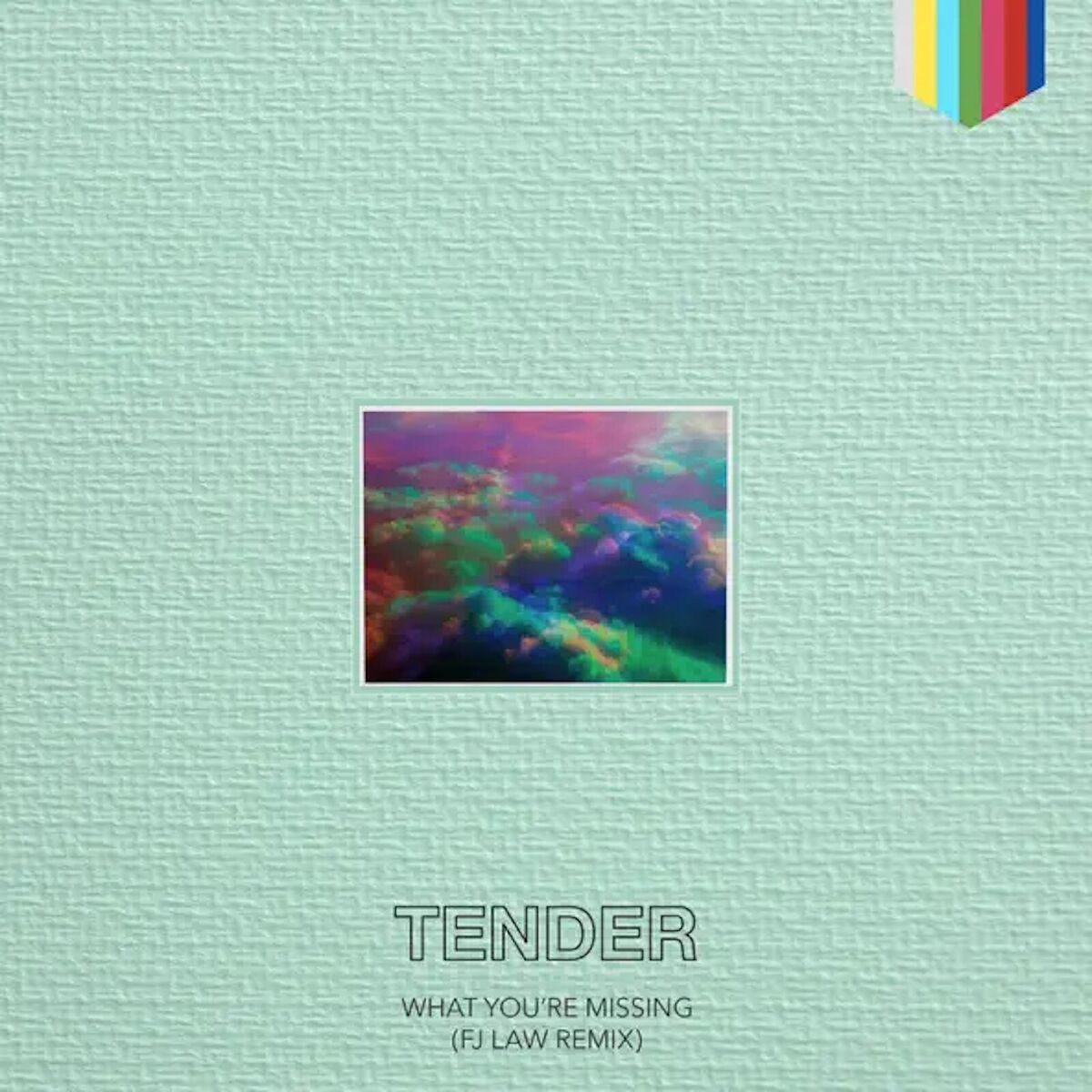 Album cover of What You're Missing (Fj Law Remix)