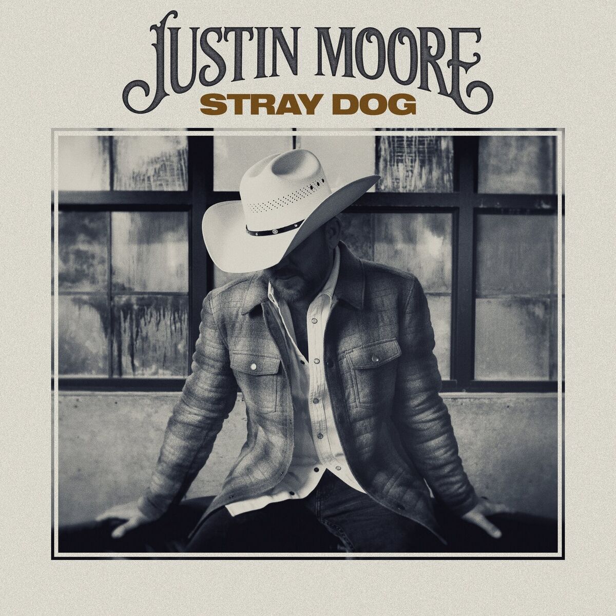 Album cover of Stray Dog