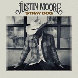 Cover of Stray Dog