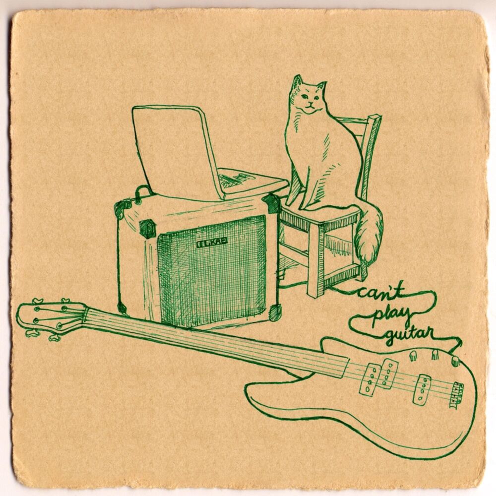 Picture of Can't Play Guitar