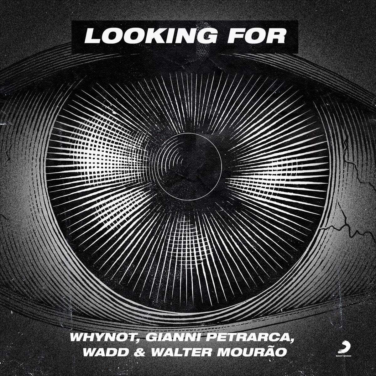Album cover of Looking For (feat. Walter Mourão)