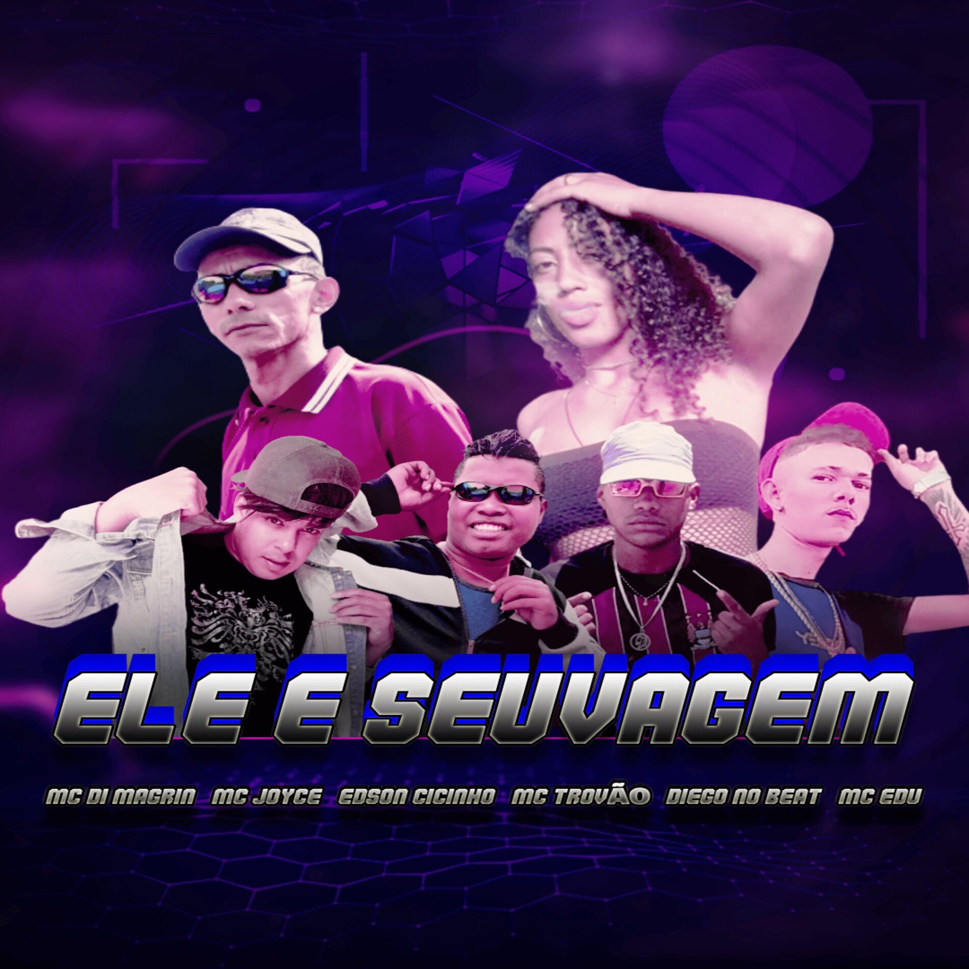Album cover of Ele e Selvagem
