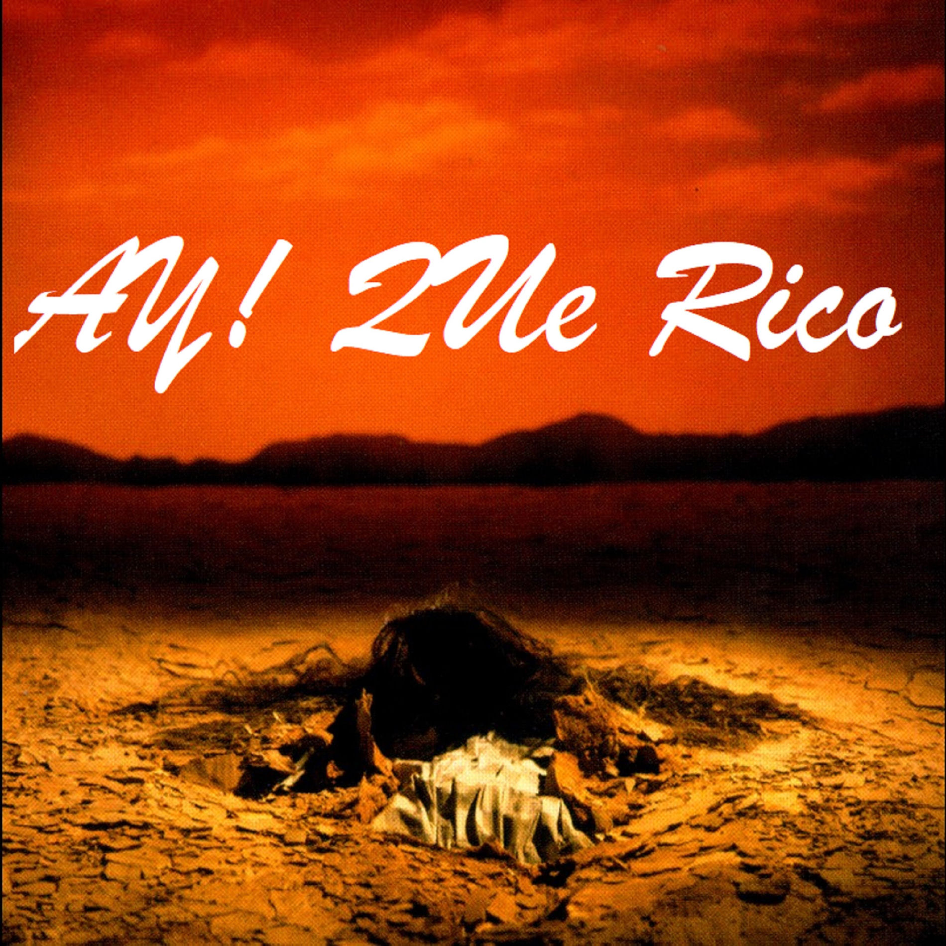 Album cover of Ay! Que Rico