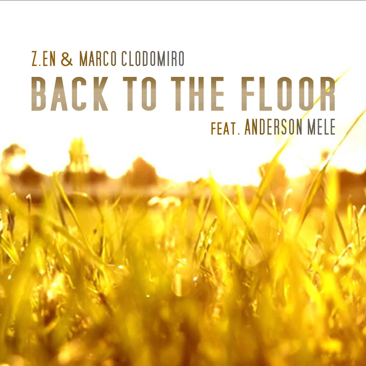 Album cover of Back to the Floor