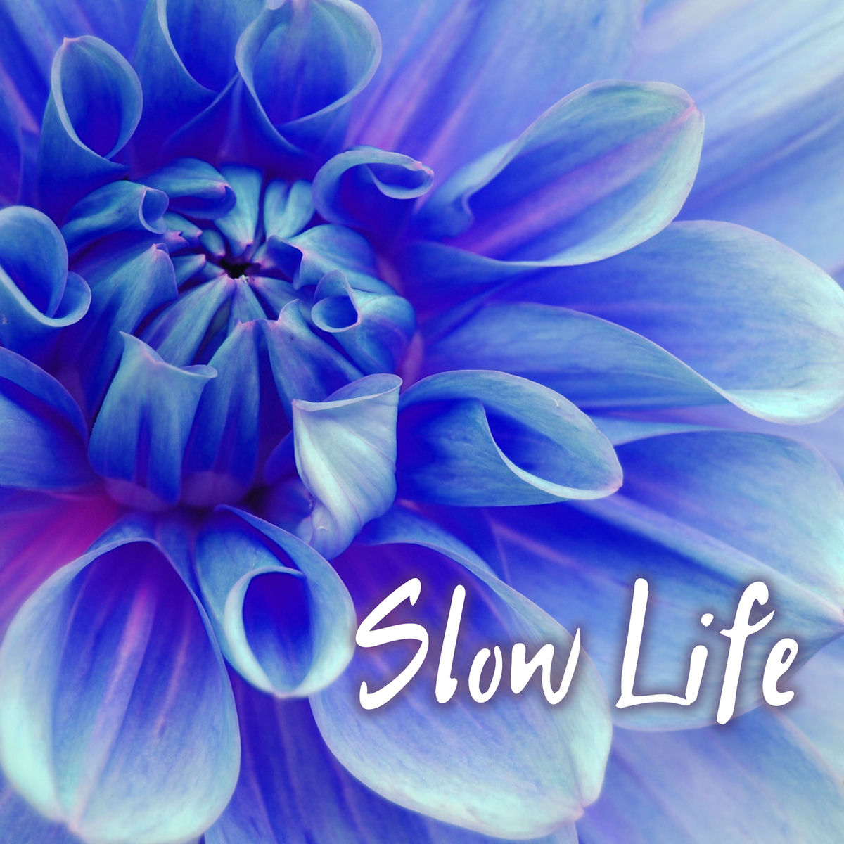 Album cover of Slow Life - Gentle and Soothing Sounds and Music to Sleep Deeply Every Night
