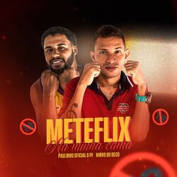 Cover of Meteflix na Minha Cama