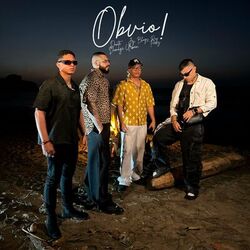 Cover of Obvio