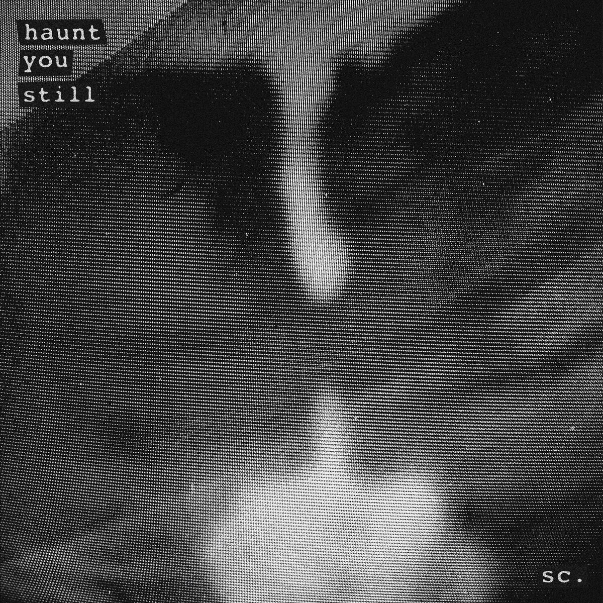 Album cover of Haunt You Still