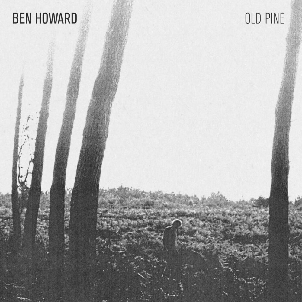Picture of The Old Pine E.P.