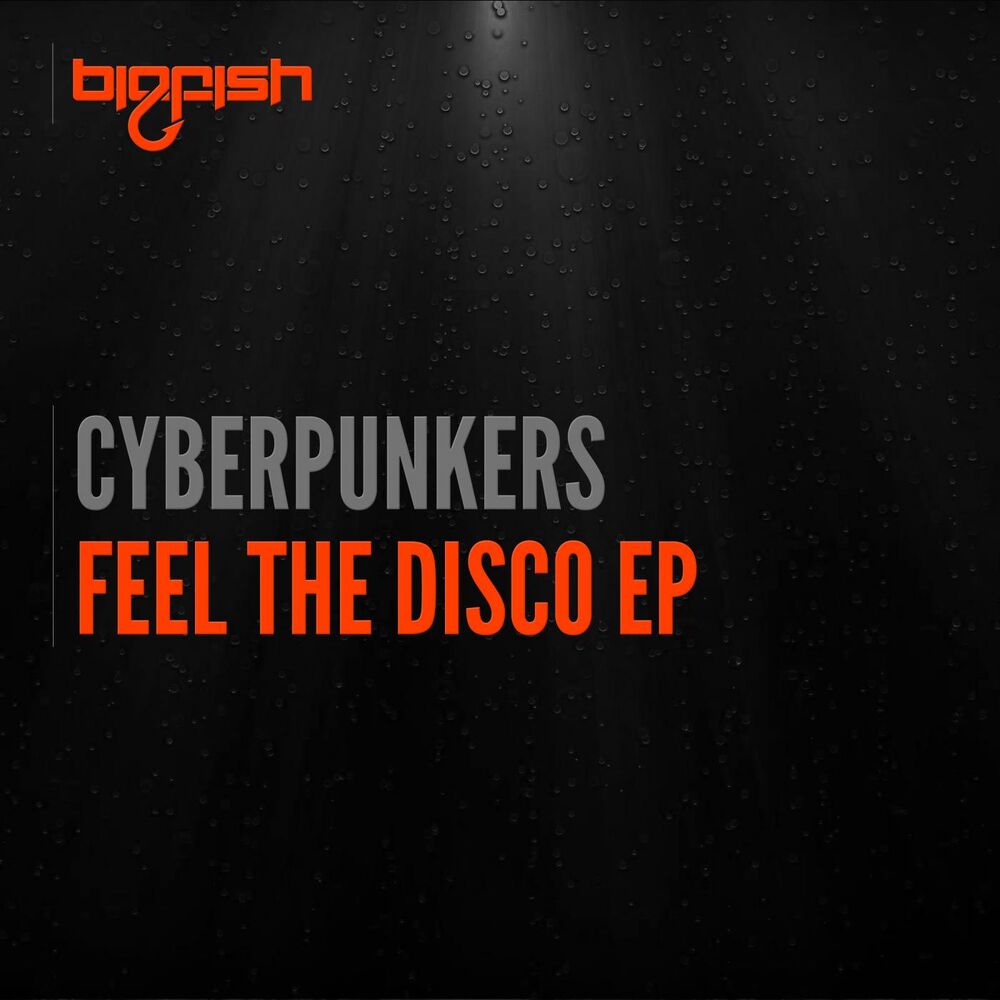 Picture of Feel The Disco EP