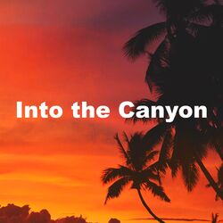 Into the Canyon