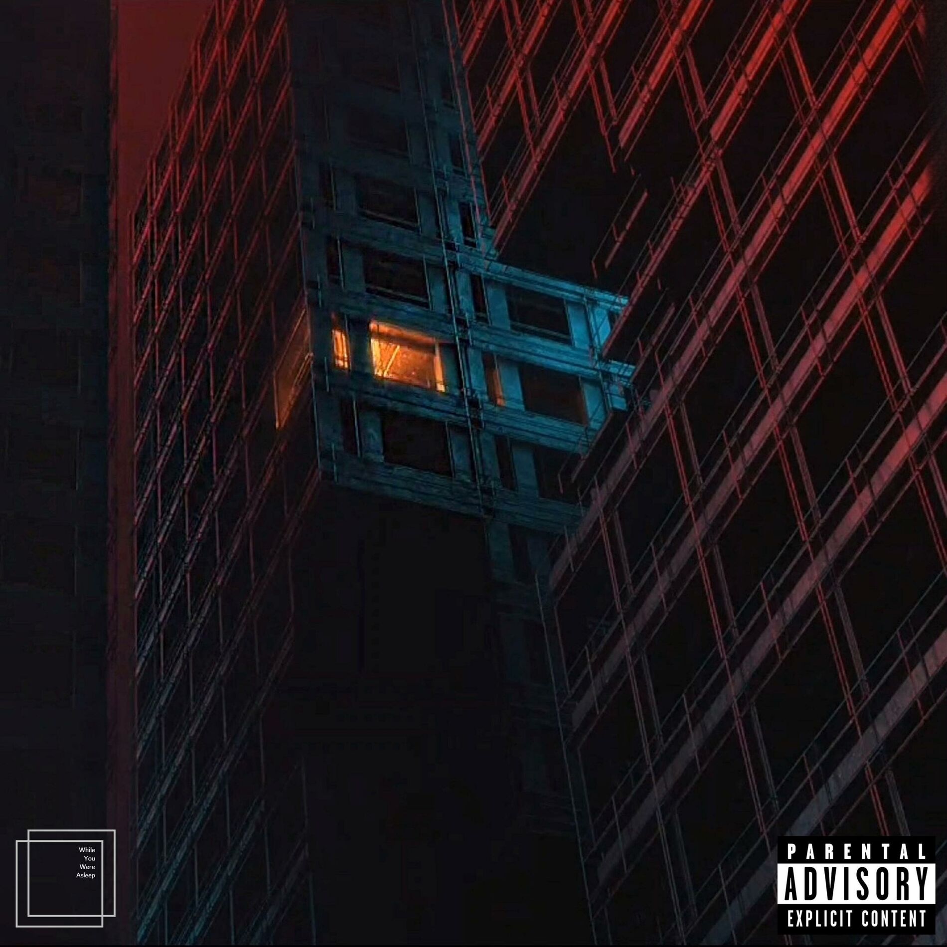 Album cover of While You Were Asleep