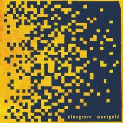 Cover of Marigold