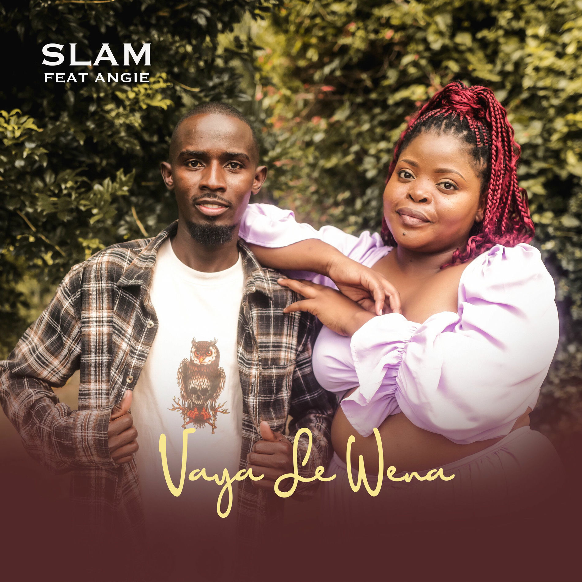 Album cover of Vaya Le Wena
