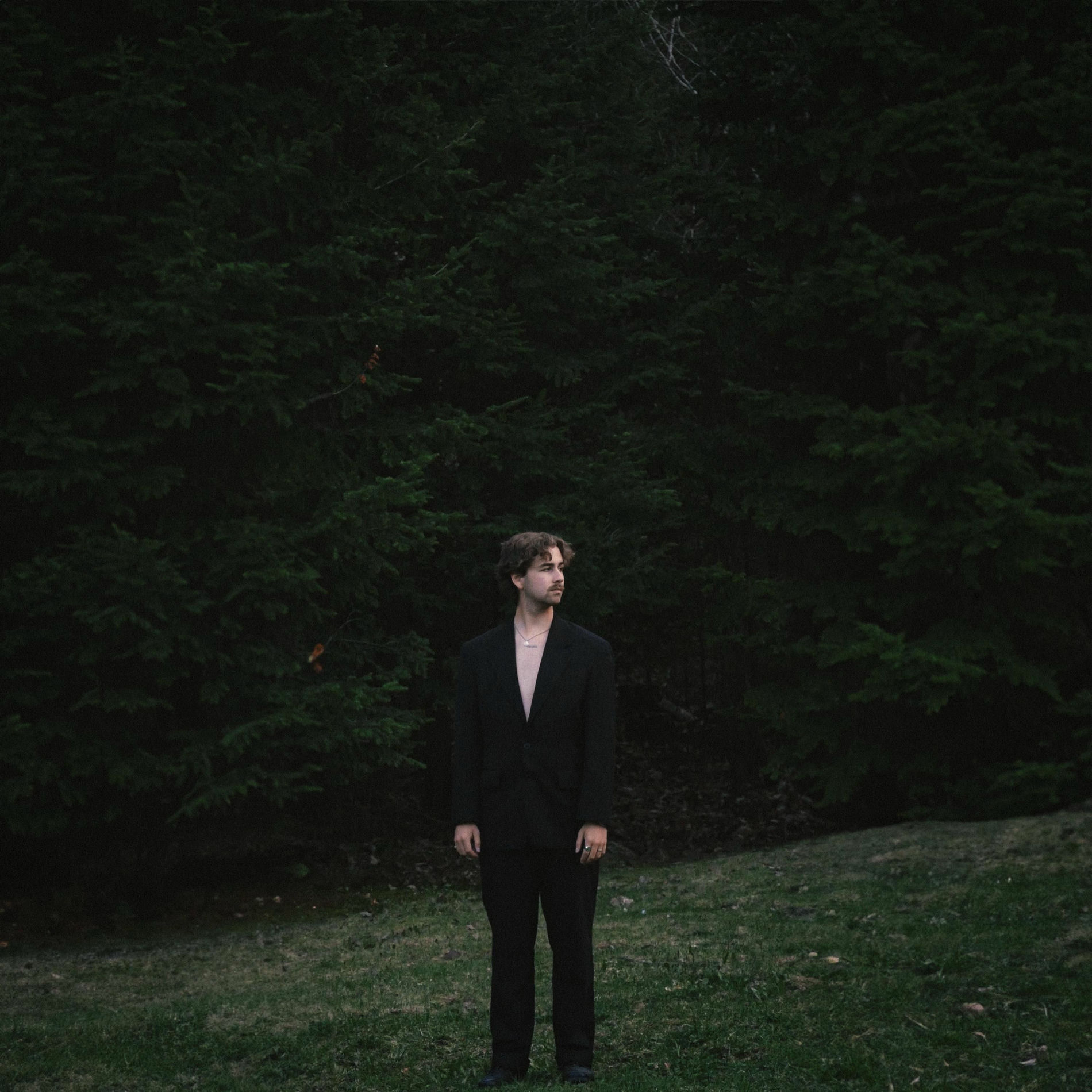 Album cover of TUER LA BÊTE