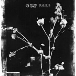 Cover of The Instinct Series 005