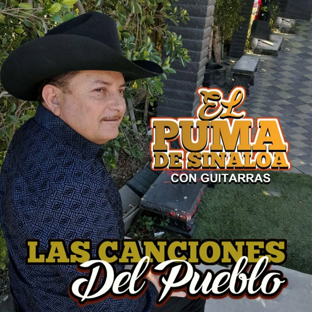 El Puma De Sinaloa El Navegante lyrics and songs Deezer