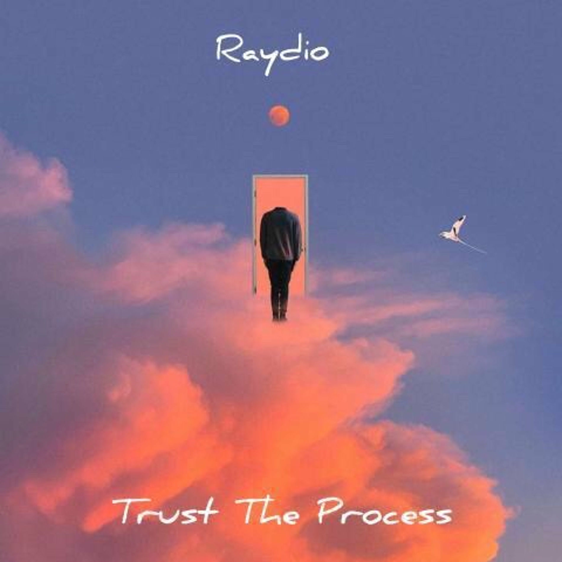 Album cover of Trust the process