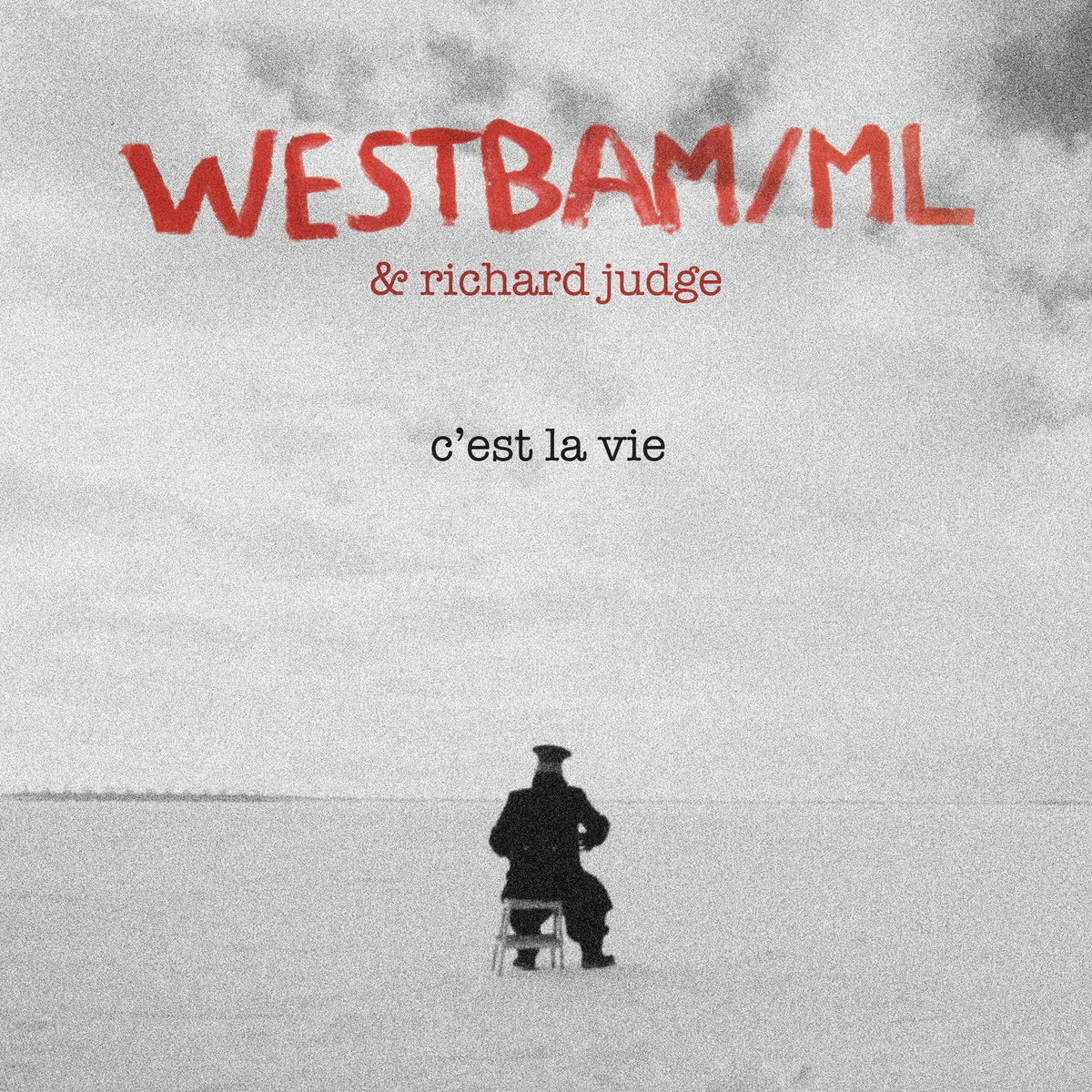 Album cover of C'est la vie