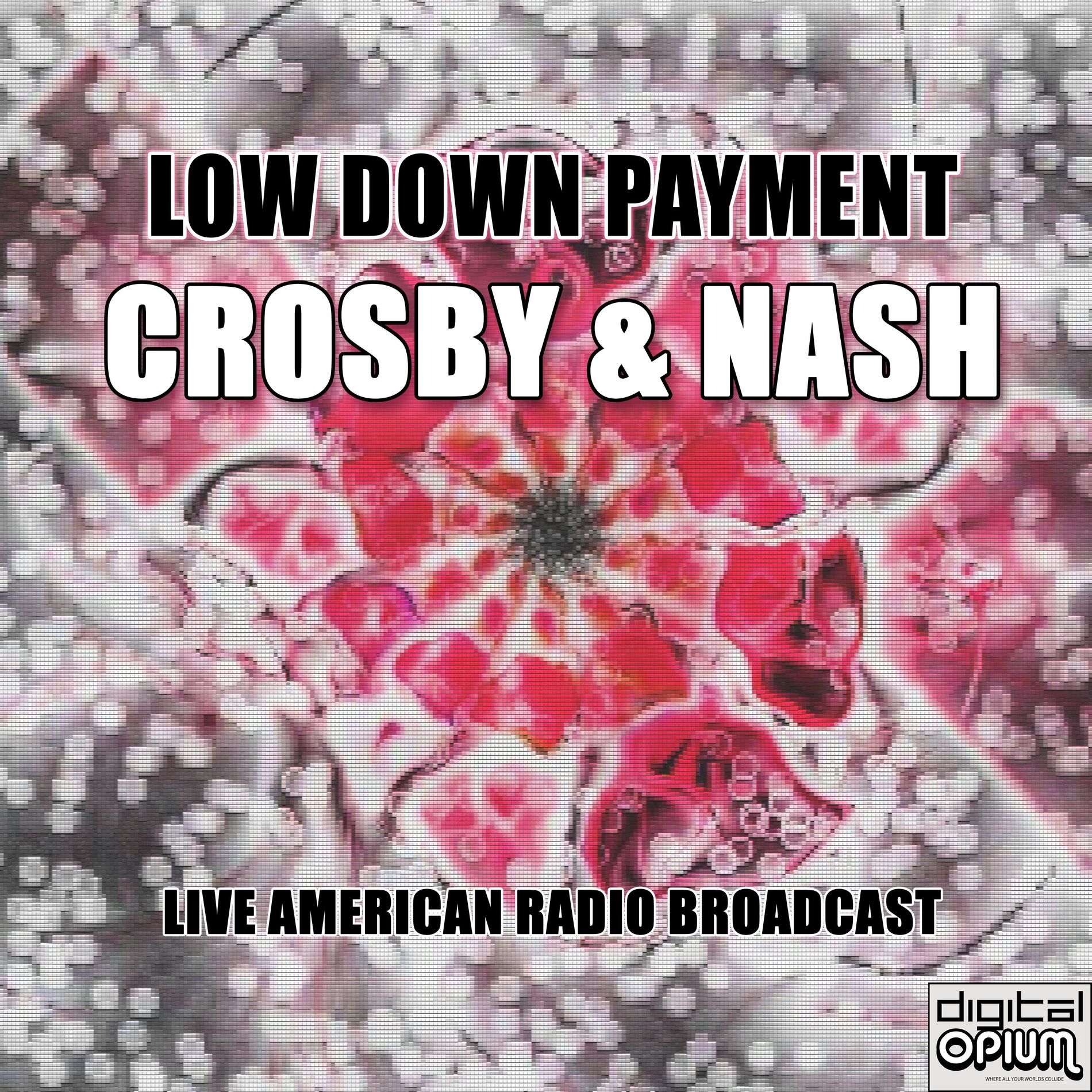 Album cover of Low Down Payment (Live)