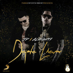 Cover of Dejate Llevar