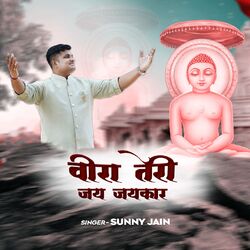 Cover of Veera Teri Jai Jai Kar