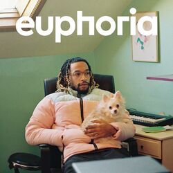 Cover of euphoria