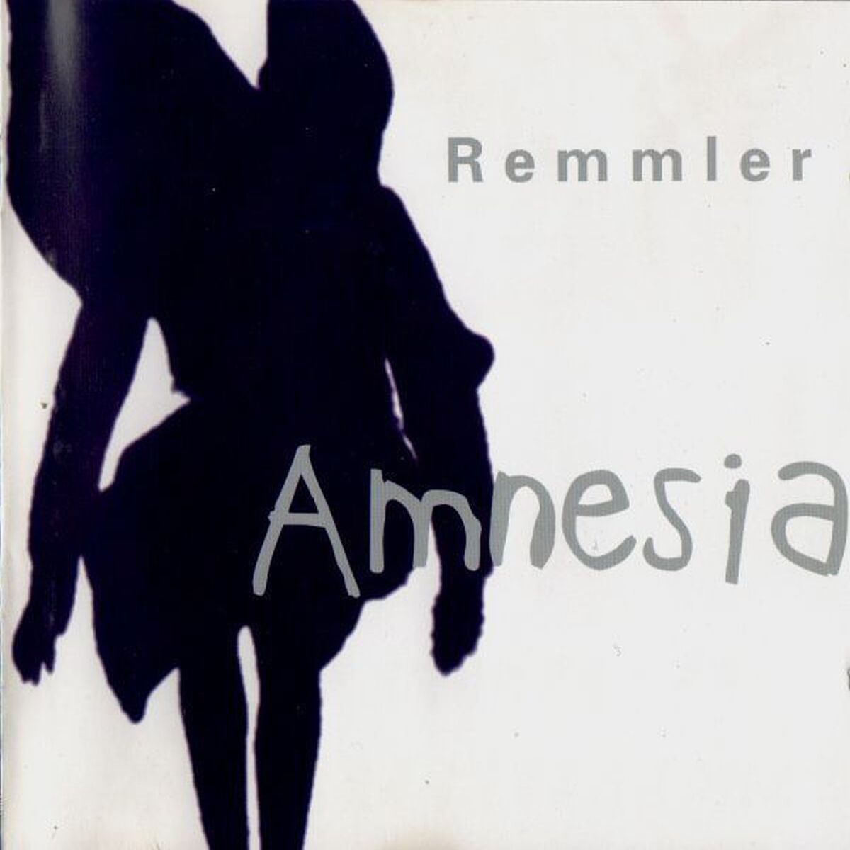 Album cover of Amnesia