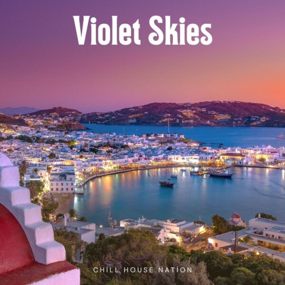 Picture of Violet Skies: Lounge House Music