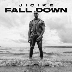 Cover of Fall Down