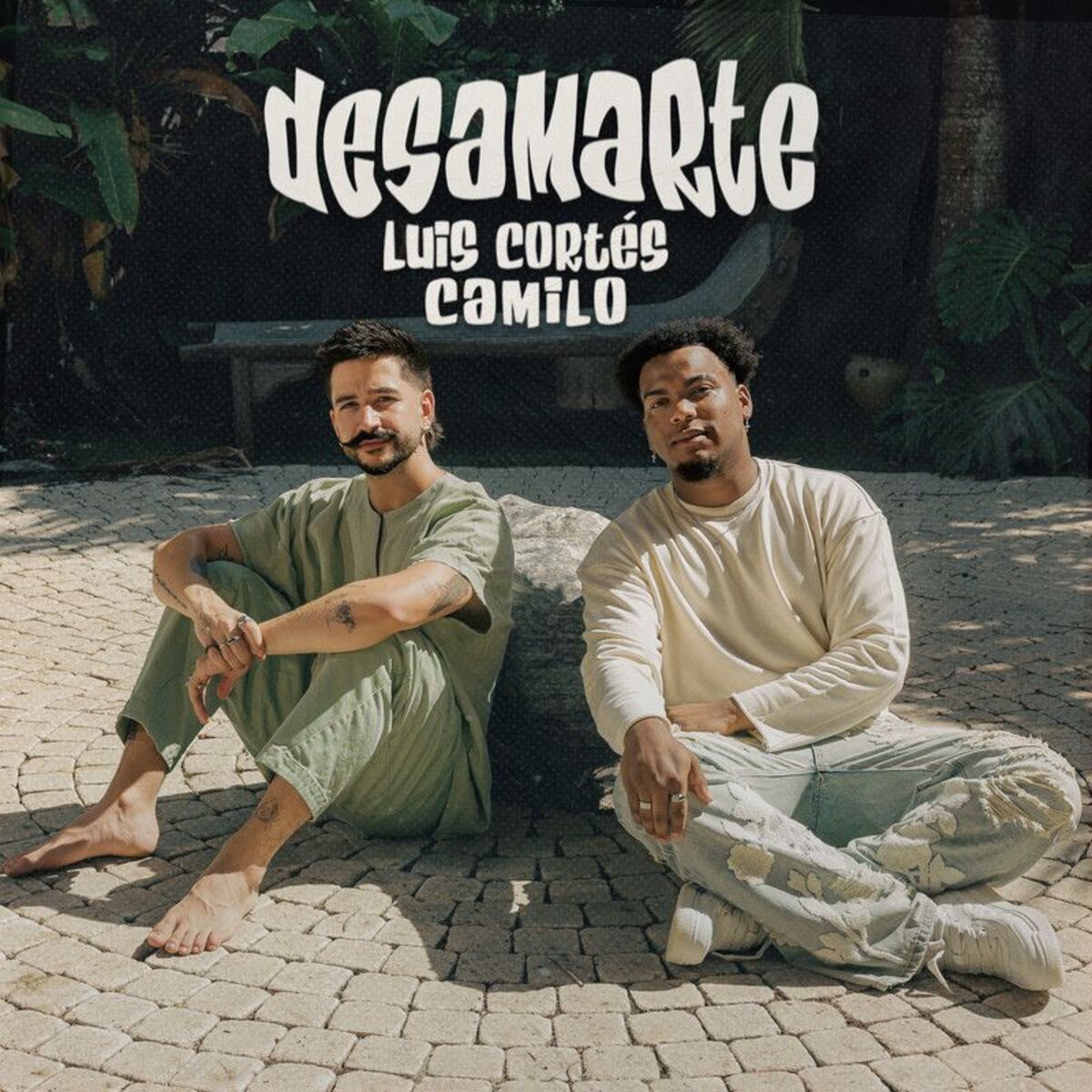 Album cover of Desamarte