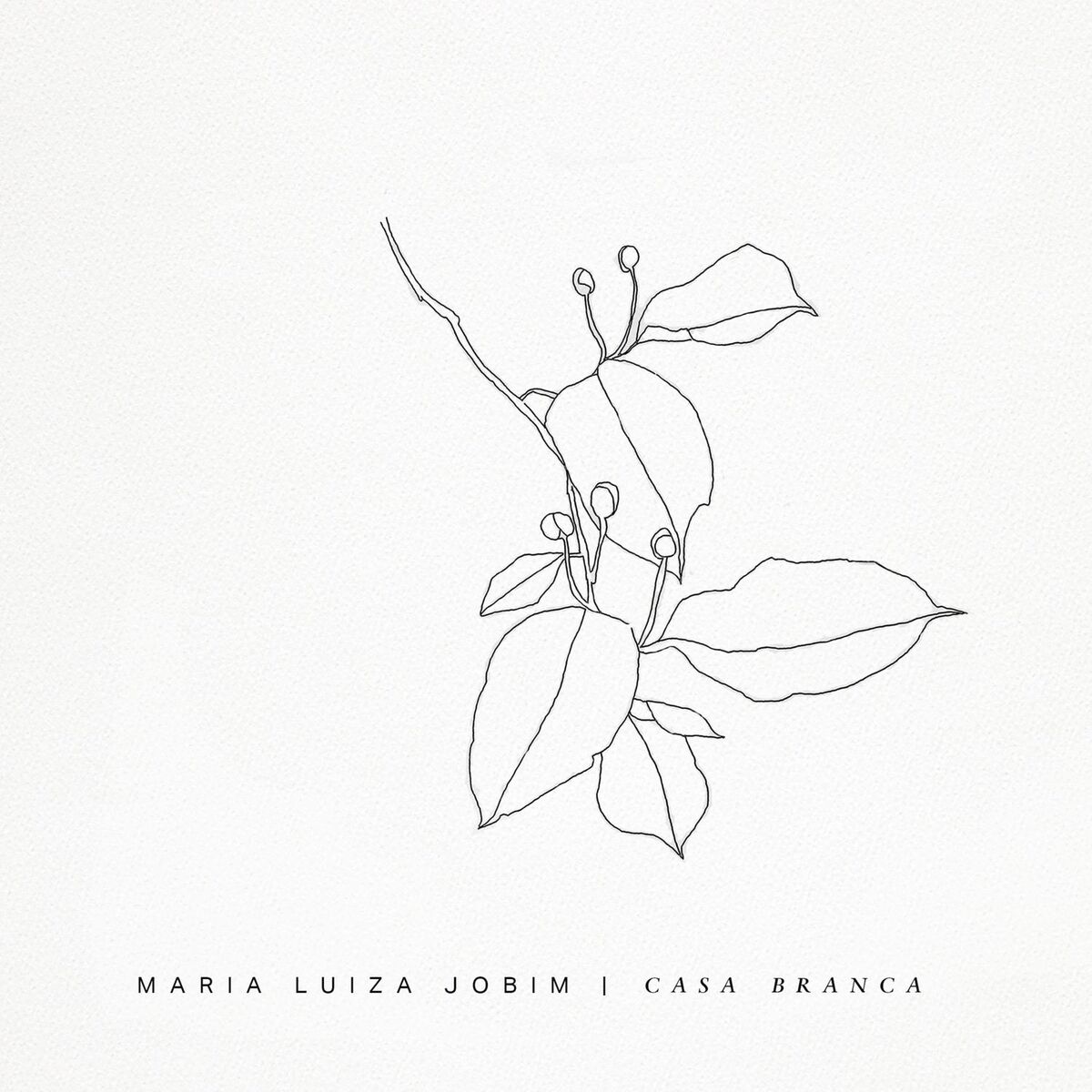 Album cover of Casa Branca