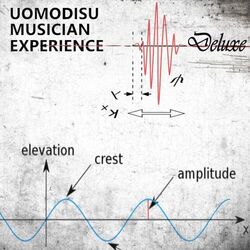 Cover of Musician Experience (Deluxe)