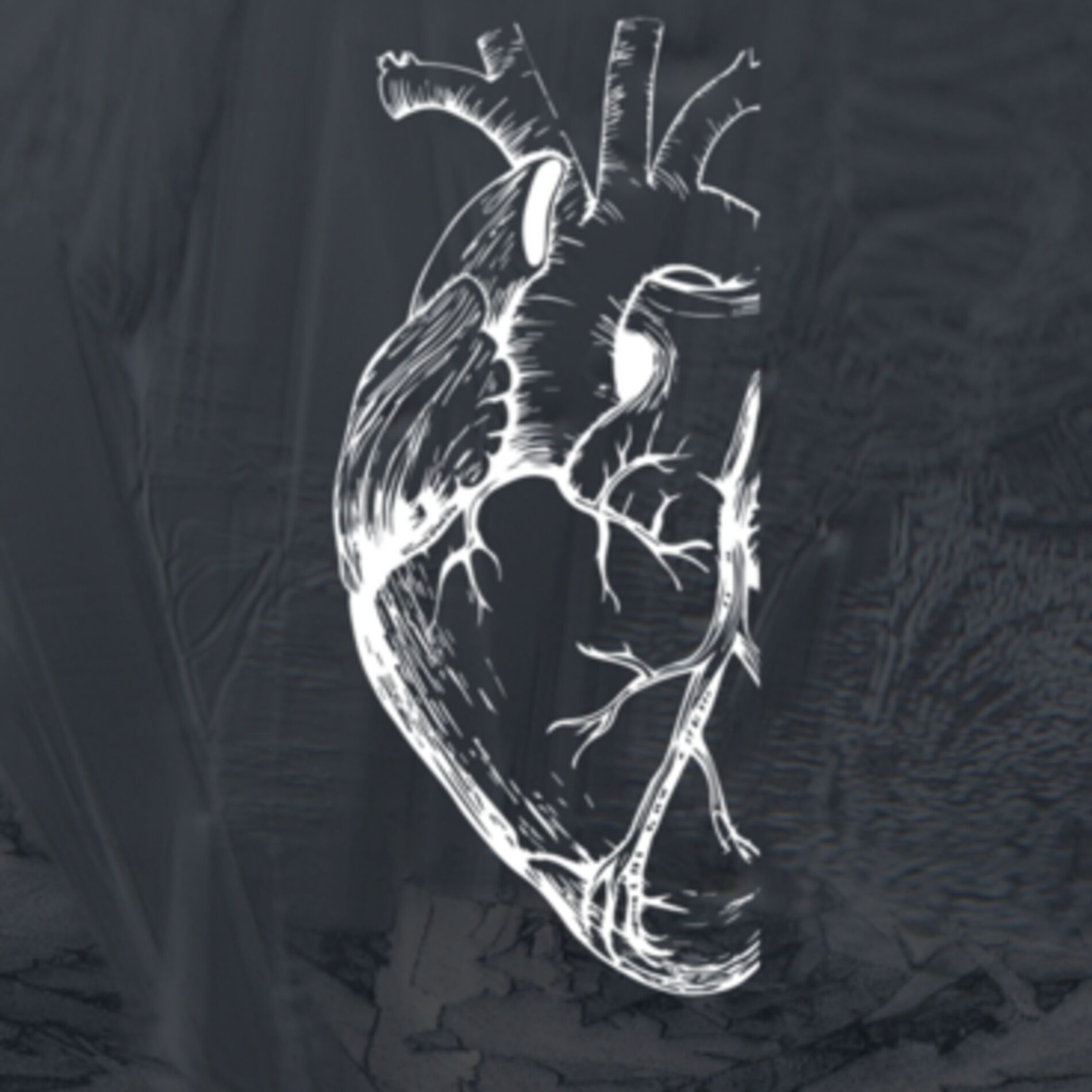 Album cover of Jäätund Süda (Radio Edit)