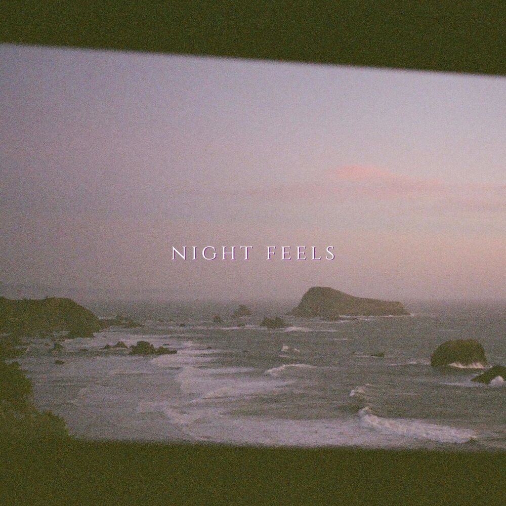 Picture of Night Feels