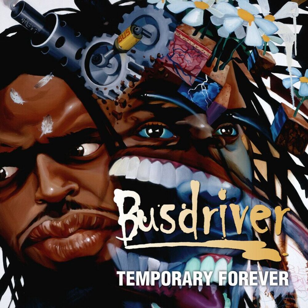 Picture of Temporary Forever