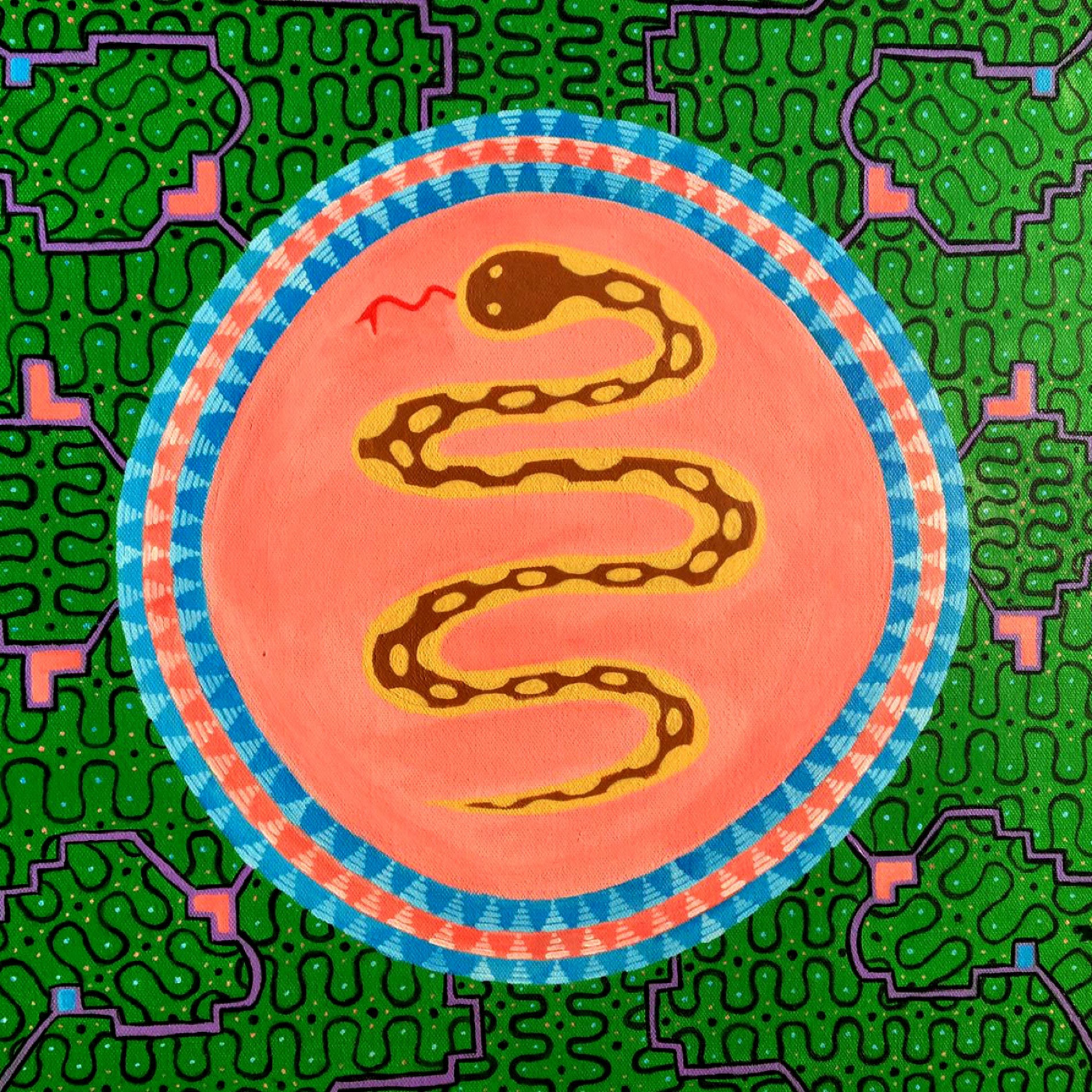 Album cover of The Ayahuasca Freestyles