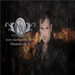 Cover of Después de Ti