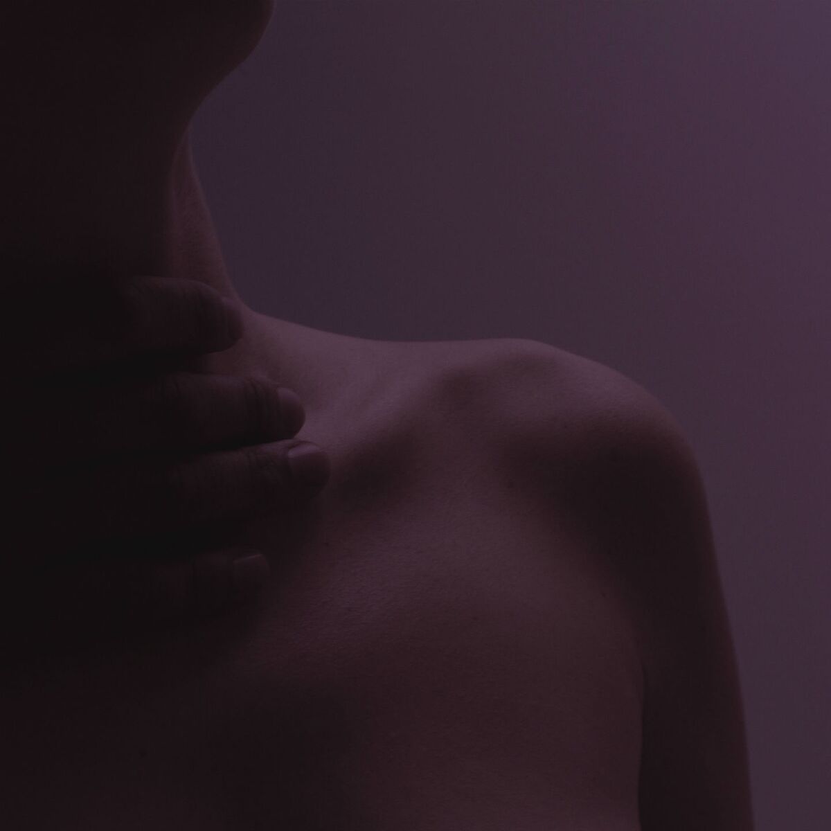 Album cover of Shelter